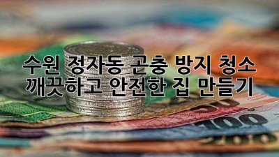 수원 정자동 곤충 방지 청소: 깨끗하고 안전한 집 만들기